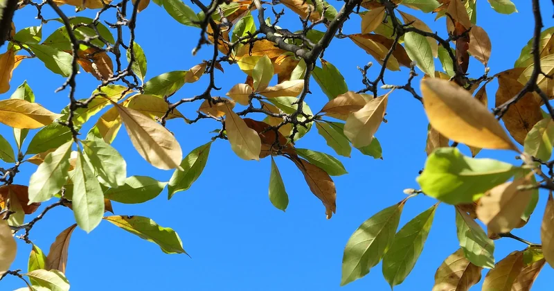 Quand partir ? La saison fait toute la différence