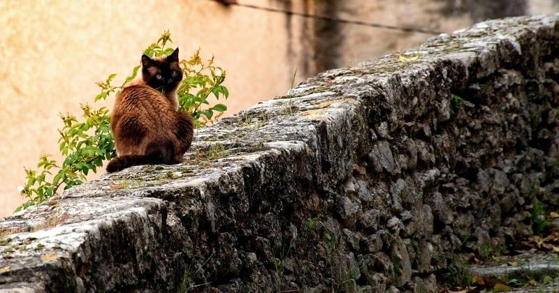 Les plus beaux villages pittoresques de Provence à explorer absolument