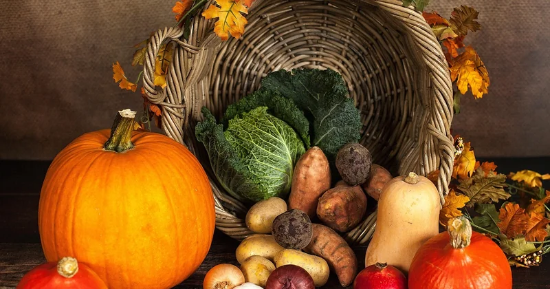 Combien coûte réellement un panier au marché ?