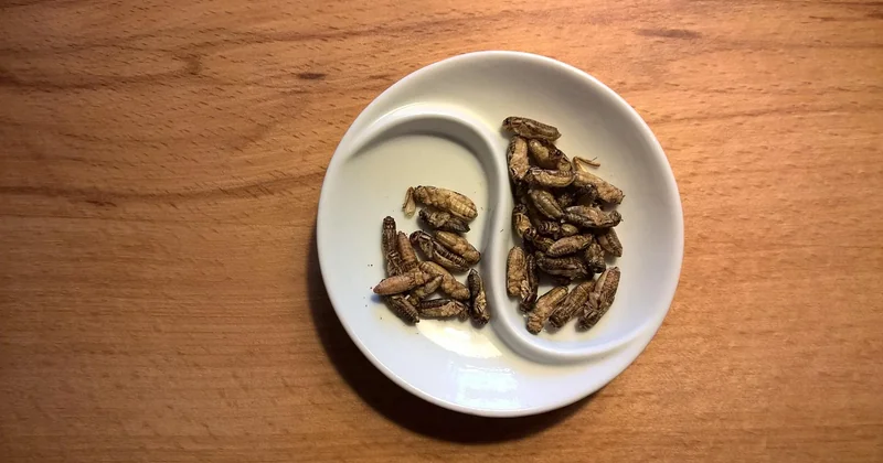 La nourriture à base d'insectes en Thaïlande : à goûter ou pas ?