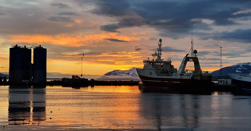 Où est-il préférable de voir des baleines, à Akureyri ou à Húsavík ?